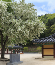 백담사 경내